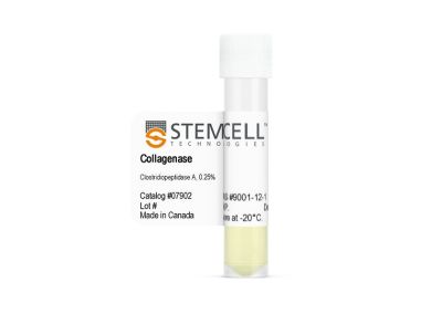 I型胶原酶（0.25%）