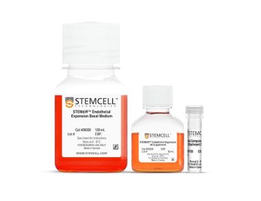 STEMdiff™ 内皮扩增培养试剂盒