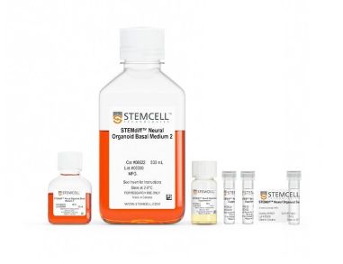 STEMdiff™ 腹侧前脑类器官分化试剂盒