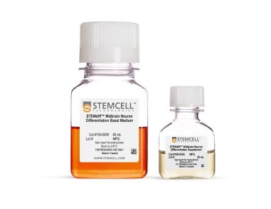 STEMdiff™ 中脑神经元分化试剂盒