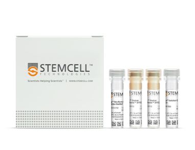 EasySep™非人灵长类B细胞分选试剂盒