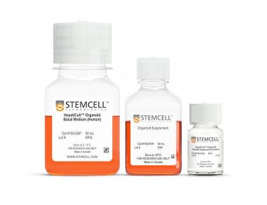 PancreaCult™类器官起始培养基（人源）