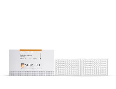 HTS Transwell®-96,0.4µm孔径聚酯膜插件