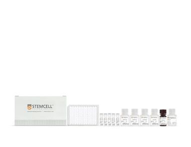 人SARS-CoV-2刺突蛋白抑制剂筛选试剂盒