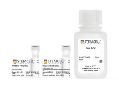 Caspase-3/7 活性流式检测试剂盒，绿色