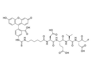 FITC-C6-DEVD-FMK