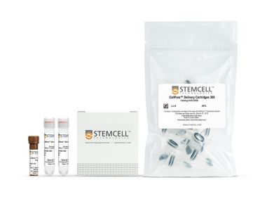 CellPore™转染试剂盒300