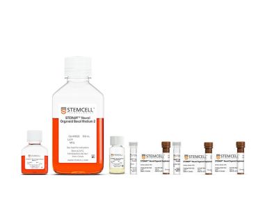 STEMdiff™ 脊髓类器官分化试剂盒