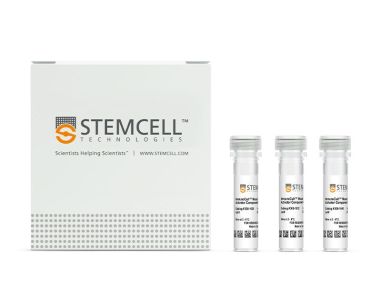 ImmunoCult™小鼠T细胞激活试剂盒