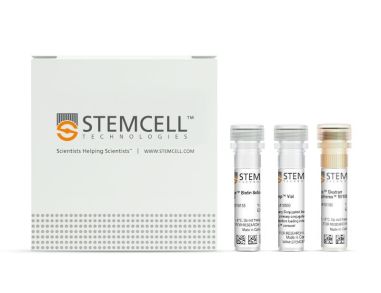 EasySep™Biotin正选试剂盒