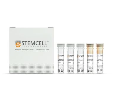 EasySep™人中央和效应记忆CD8+ T细胞分选试剂盒