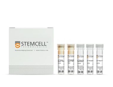 EasySep™小鼠CD4+ CD62L+ T细胞分选试剂盒