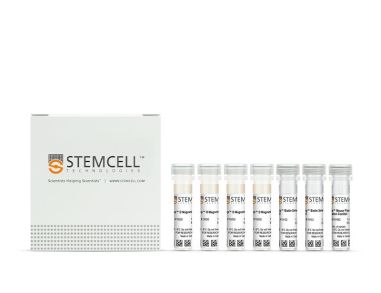 EasySep™小鼠浆细胞样DC分选试剂盒