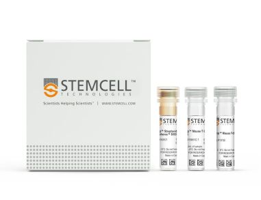 EasySep™小鼠T细胞分选试剂盒