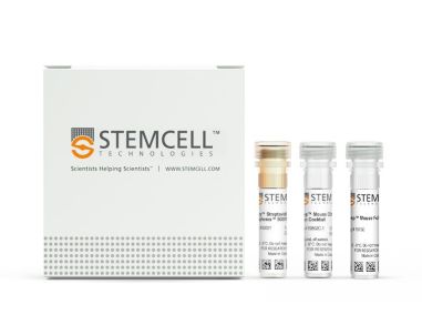 EasySep™小鼠CD4+ T细胞分选试剂盒