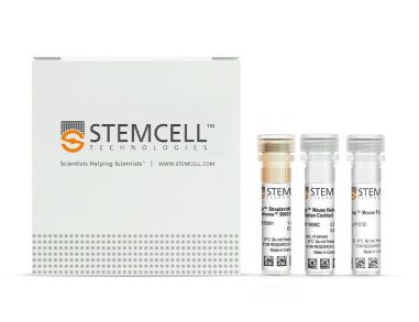 EasySep™小鼠Naïve CD8+ T细胞分选试剂盒