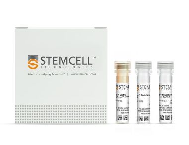 EasySep™小鼠上皮细胞富集试剂盒II