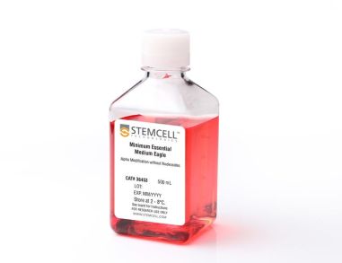 不含核苷的MEM培养基