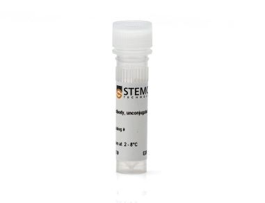 抗小鼠CD62L(L-选择素)抗体,clone MEL-14