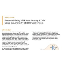 Genome Editing of Human Primary T Cells Using CRISPR-Cas9 | STEMCELL ...