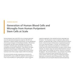 Generation of Human Blood Cells and Microglia from hPSCs