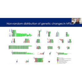 Mechanisms of Selection in Human Pluripotent Stem Cell Cultures