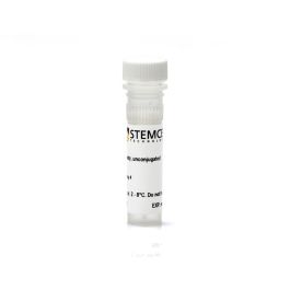 Anti-Mouse CD16/CD32 Antibody, Clone 2.4G2 | STEMCELL Technologies