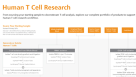 Human T Cell Research Product Workflow