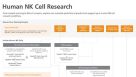 Human NK Cell Product Workflow