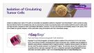 循环肿瘤细胞的分离