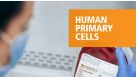 人原代细胞
