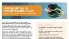 Genome Editing of Human Primary T Cells