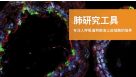 肺研究工具