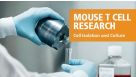 小鼠T细胞研究 - 细胞分选与培养