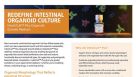 Redefine Intestinal Organoid Culture: IntestiCult™ Plus Organoid Growth Medium