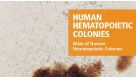 Atlas of Human Hematopoietic Colonies 