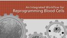 血细胞重编程的完整流程