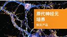 原代神经元培养 相关工具