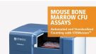STEMvision™ Automated and Standardized Counting of Mouse Bone Marrow CFU Assays