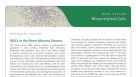 Mesenchymal Stromal Cells: Markers, Isolation and Culture, Differentiation, and Therapeutic Potential