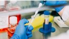 CRISPR-Cas9 Genome Editing of Human Intestinal Organoids