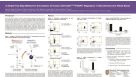 Isolation of Human CD4+CD25+Bright/Foxp3+ Regulatory T Cells Directly from Whole Blood