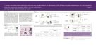 Pre-Enrichment of Dendritic Cells from Human Peripheral Blood Samples