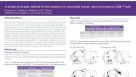 Isolation of Untouched Human Naive and Memory CD8 T Cells