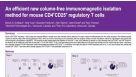 Immunomagnetic Isolation Method for Mouse CD4+CD25+ Regulatory T Cells