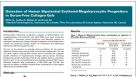 Detection of Human Bipotential Erythroid-Megakaryocytic Progenitors in Serum-Free Collagen Gels