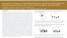 Hematopoietic Expansion and Differentiation Into Megakaryocytes and Erythroid Cells With StemSpan™ SFEM II