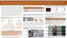 Induced Pluripotent Stem Cells Generated from Multiple Somatic Cell Types via Feeder Free Reprogramming in TeSR™-E7™ Medium