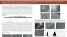 Generating iPSCs from Somatic Cells using a Novel Synthetic Self-Replicating RNA Vector in a Feeder-Free System