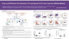 Fast and Efficient Enrichment of Functional ILC2 From Human Whole Blood